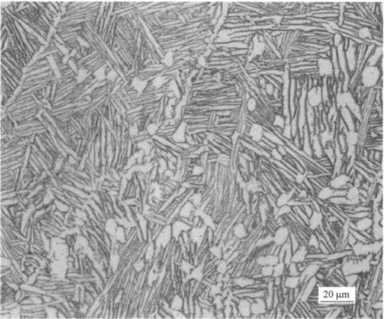 CT20低溫鈦合金  金相圖譜(圖3)