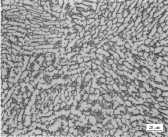 CT20低溫鈦合金  金相圖譜(圖4)