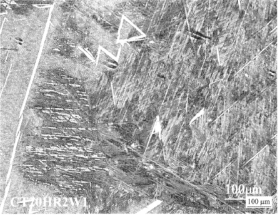 CT20低溫鈦合金  金相圖譜(圖5)