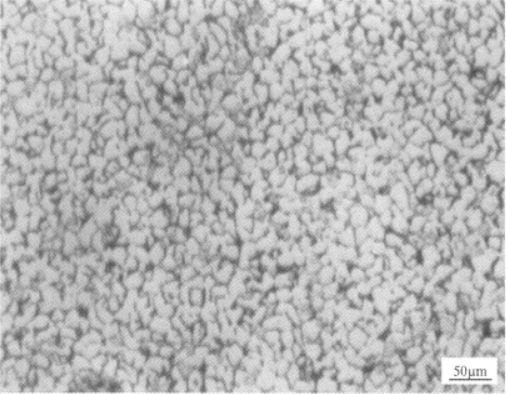 TP650顆粒增強鈦合金  金相圖譜(圖2)