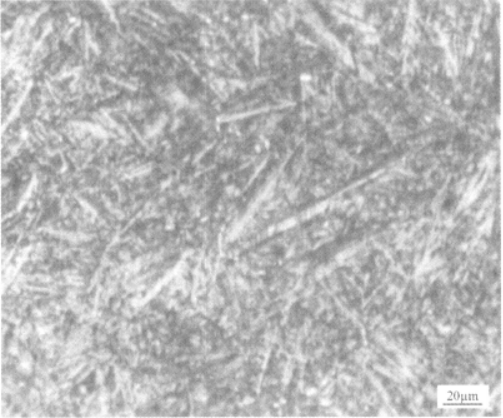 BT16鈦合金  金相圖譜(圖12)