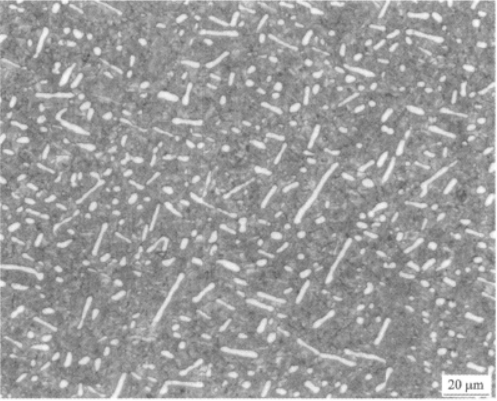 BT22高強(qiáng)鈦合金  金相圖譜(圖4)