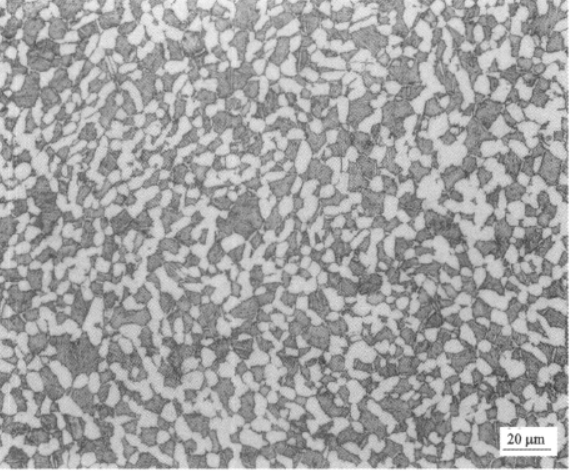 BT25高溫鈦合金  金相圖譜(圖2)