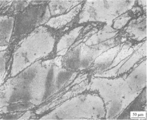 Ti1300合金  金相圖譜(圖3)